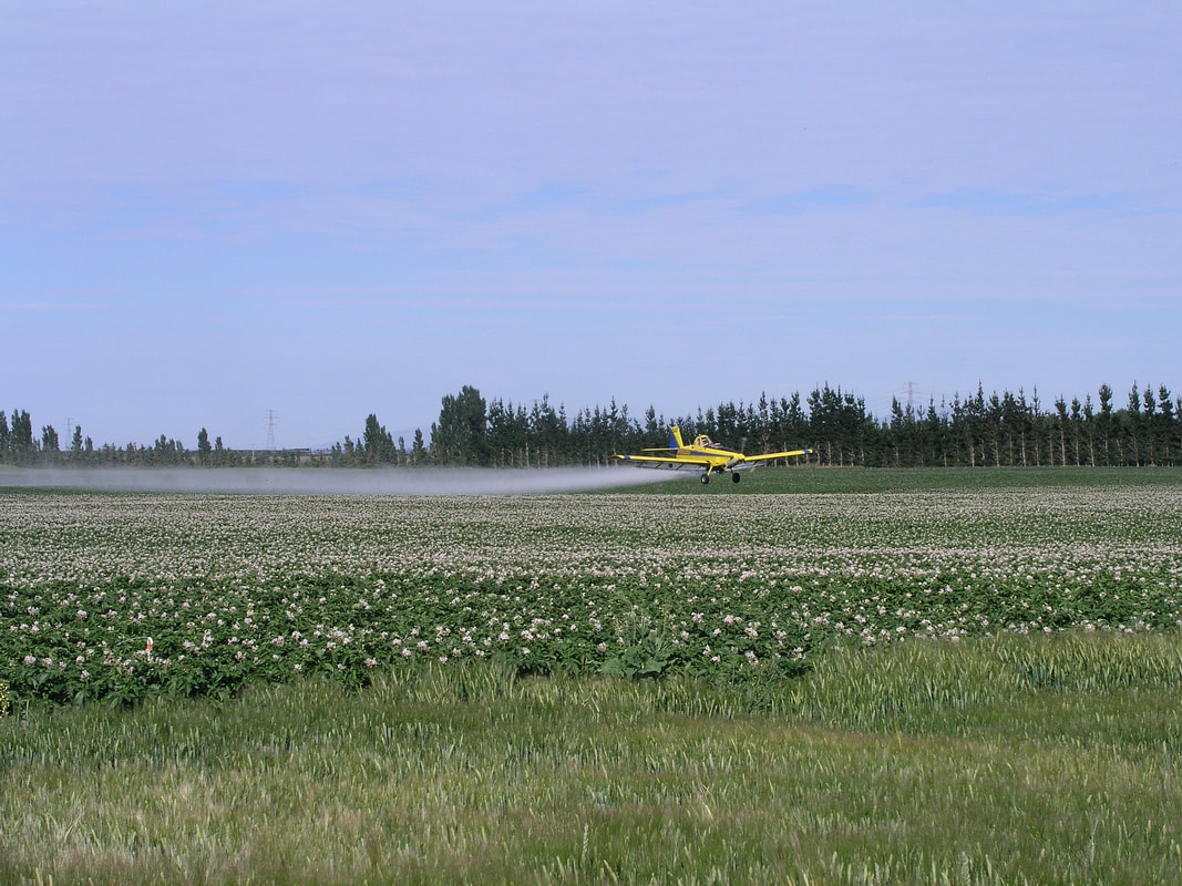 Our contracted aerial sprayer applying fungicides